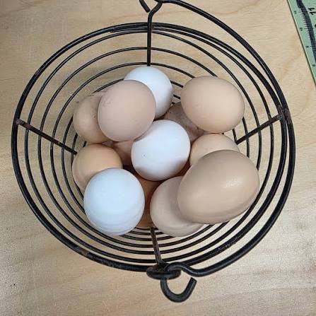 images (6) Fresh Eggs
